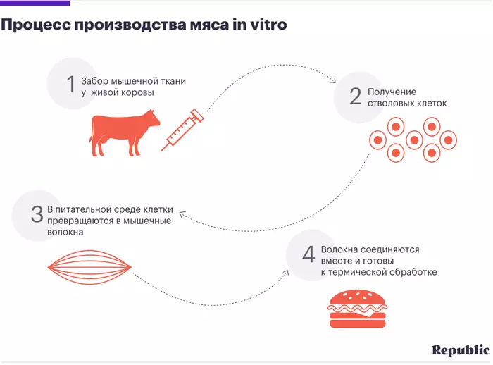 процесс производства искусственного мяса | strah.shop