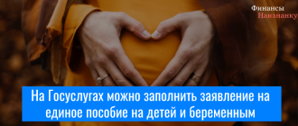 На Госуслугах можно заполнить заявление на единое пособие на детей и беременным женщинам