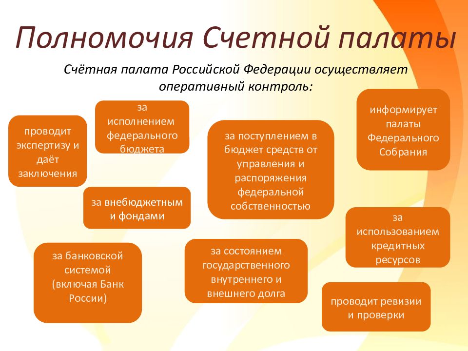 Счетная палата РФ осуществляет оперативный контроль - полномочия