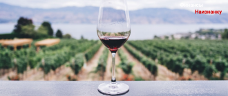 Разбираем основные причины - Почему вино стоит дорого?