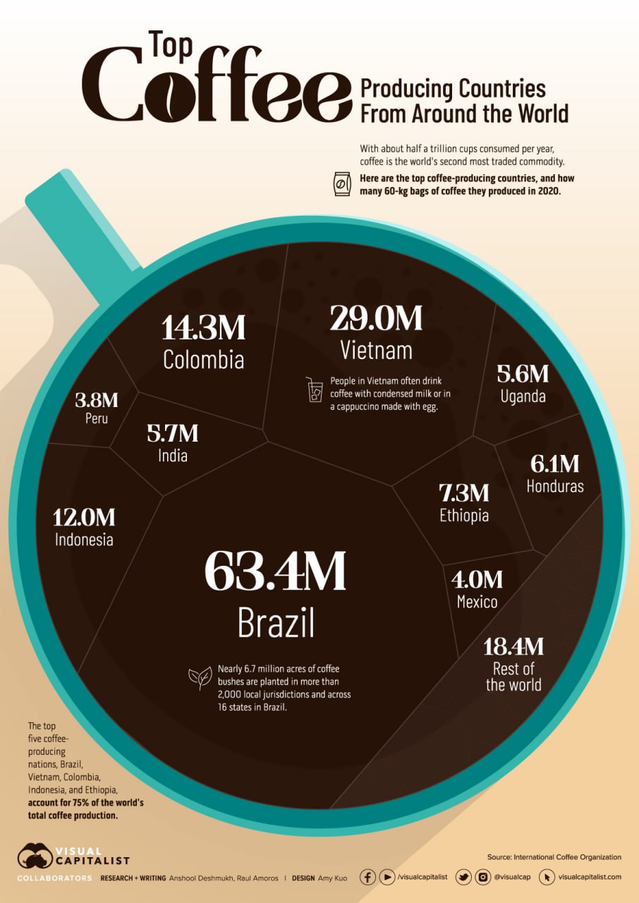 Самые крупные страны-производители кофе в мире