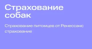 Страхование домашних животных: Зачем страховать питомца?