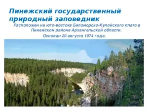 Приключение в Пинежском заповеднике: где живут пещеры и медведи